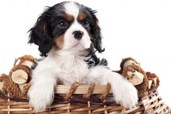 美甲表面不亮了怎么办(美甲表面不亮了怎么办)