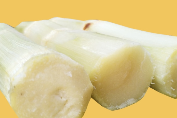 如何保存甘蔗(如何保存甘蔗不发红)