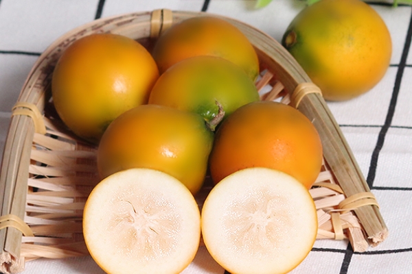 金桔什么时候吃最好(金桔什么时候吃最好) 金桔什么时候吃最好(金桔什么时候吃最好)