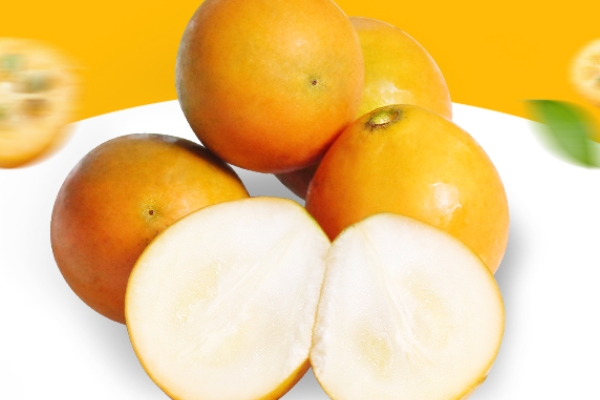 金桔一天吃几个好(金桔一天吃几个好)