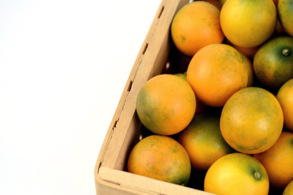 金桔什么时候上市(脆蜜金桔什么时候上市) 金桔什么时候上市(脆蜜金桔什么时候上市)