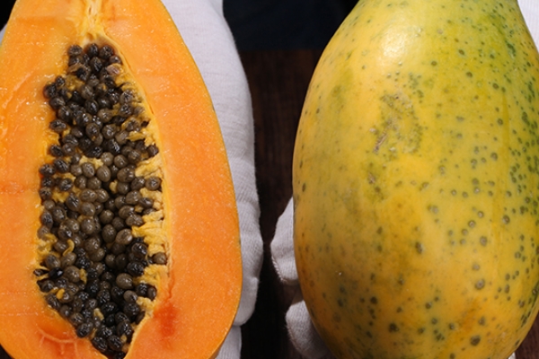 木瓜丰胸是谣言(木瓜丰胸是谣言) 木瓜丰胸是谣言(木瓜丰胸是谣言)