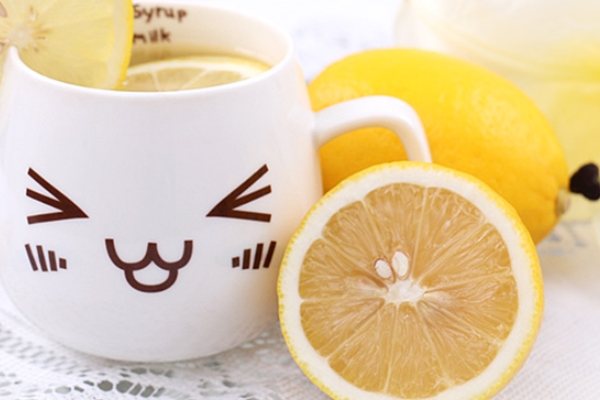 鲜柠檬和干柠檬的营养成分(柠檬干和新鲜柠檬的营养成分一样吗)