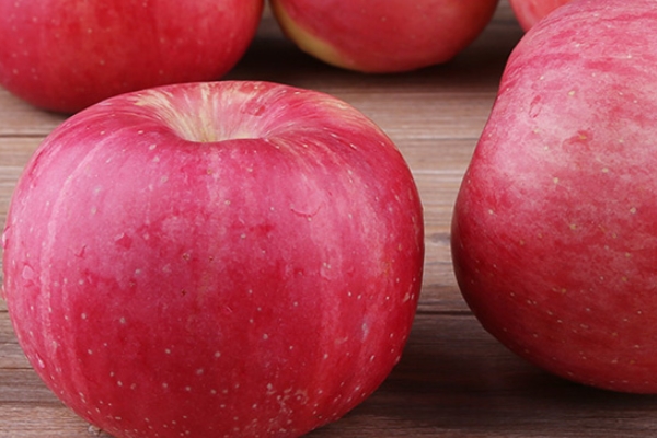 红富士小知识(红富士的介绍)