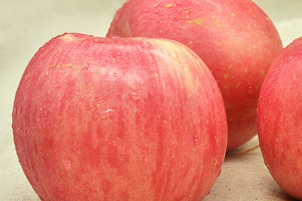 苹果减肥法一天吃几个苹果(苹果减肥法一天吃几个苹果最好)