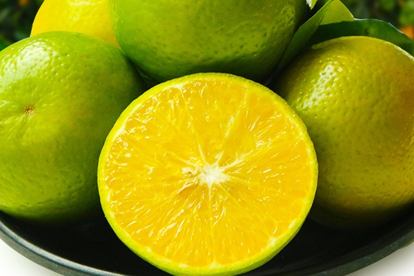 皇帝柑什么时候成熟上市(皇帝柑什么时候成熟上市)