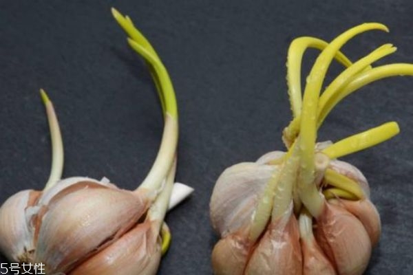 食用大蒜的好处(食用大蒜的好处和坏处)