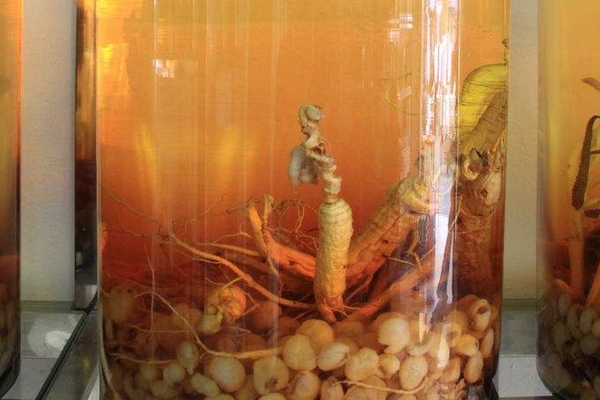 服用药酒注意事项(服用药酒注意事项)