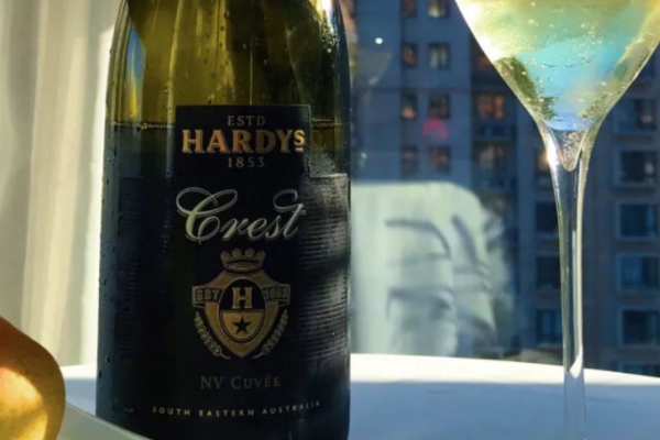 红酒兑雪碧对身体有害吗(红酒兑雪碧对身体好不好)