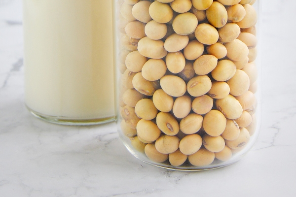 豆汁和豆浆的区别(豆浆的做法和配方)