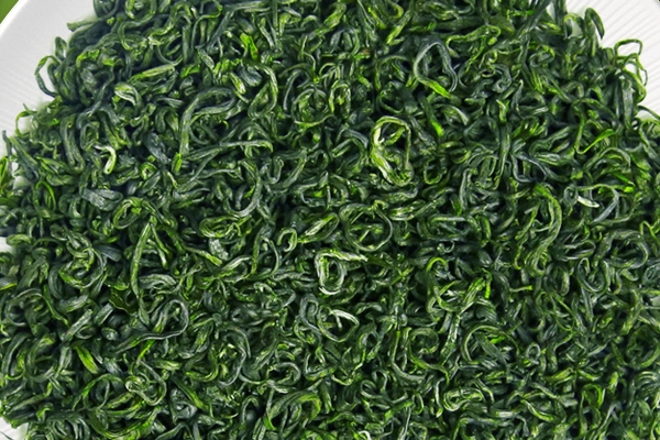 绿茶小知识(绿茶小知识点)