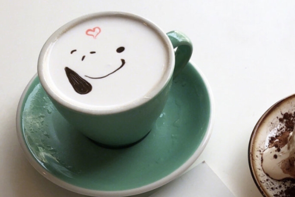 咖啡小知识(咖啡的知识)