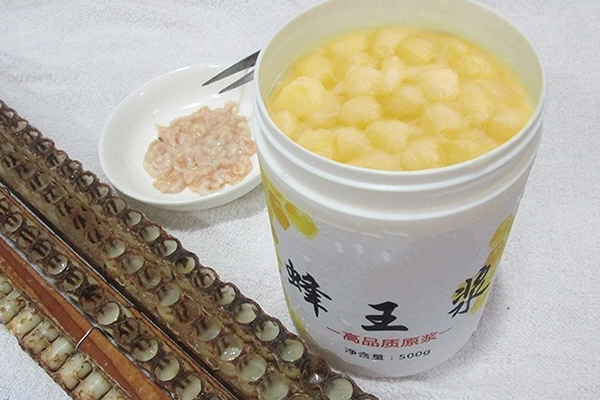 蜂王浆如何保存(蜂王浆如何保存方法)