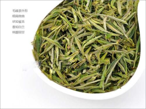 黄山毛峰茶汤什么颜色(黄山毛峰是什么茶?)