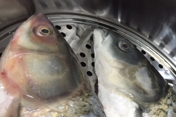 剁椒鱼头的食用价值(剁椒鱼头的营养价值)