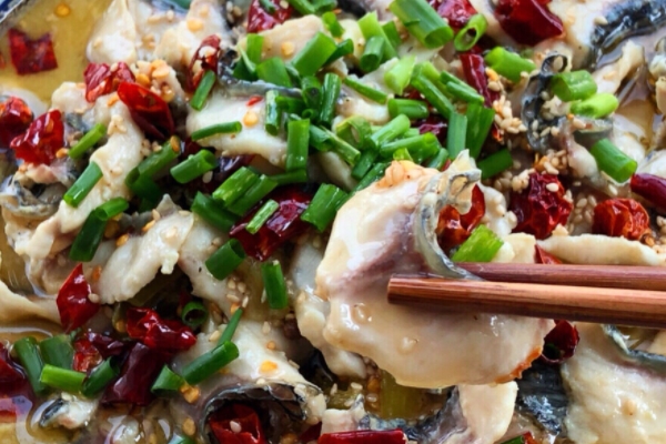 酸菜鱼用草鱼的好处(酸菜鱼用草鱼好吃吗)