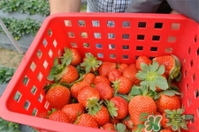 桑屿南蔷是微商吗(桑屿南蔷是正规品牌吗)