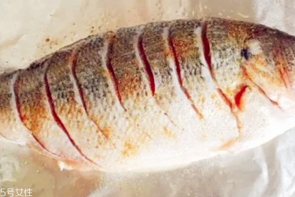 烤鱼的营养价值(烤鱼的营养价值及功效)