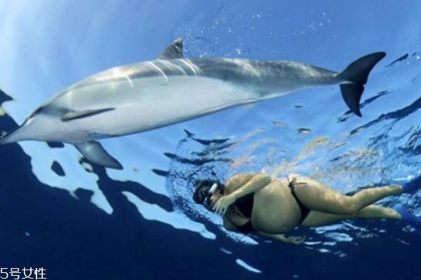 孕妇正确游泳的好处有什么(游泳对孕妇的好处)