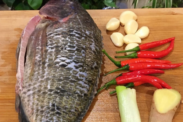 孕妇可以吃烤鱼吗(孕妇可以吃烤鱼吗初期3个月)