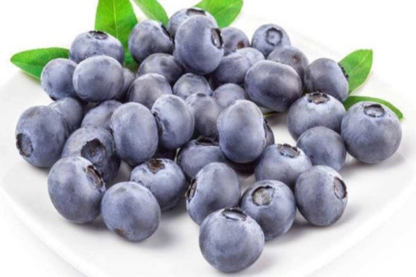 黑加仑和蓝莓选哪个好(黑加仑和蓝莓哪个贵)