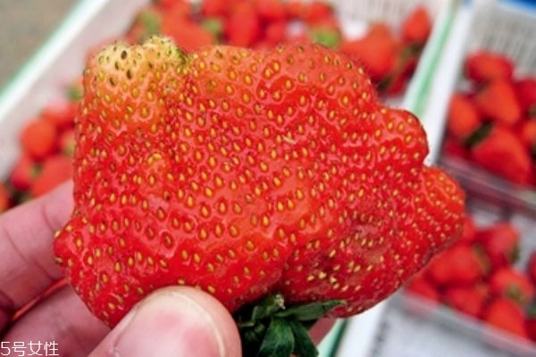 递欧化妆品好用吗(递欧化妆品好用吗) 递欧化妆品好用吗(递欧化妆品好用吗)