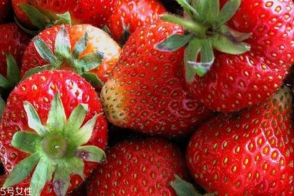 草莓的成熟季节(草莓的成熟季节是什么时候)