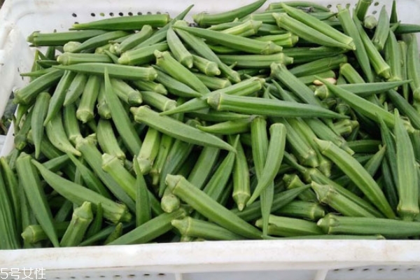 秋葵的保鲜方法(秋葵的保鲜方法有哪些) 秋葵的保鲜方法(秋葵的保鲜方法有哪些)