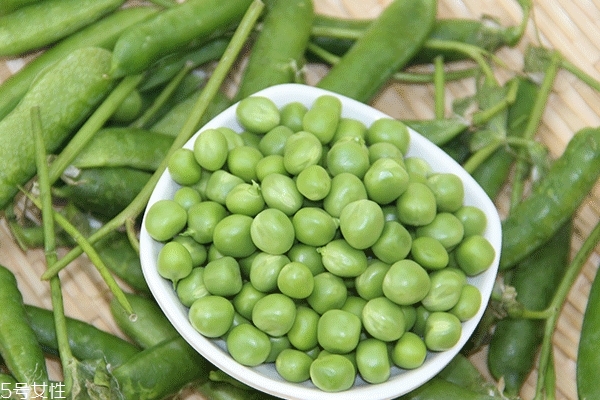 豌豆的成分(豌豆的成分和营养价值)