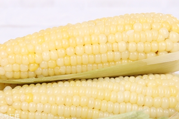 玉米的价值(玉米的价值和用途有哪些)