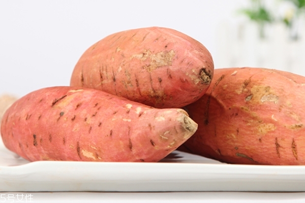 吃红薯会胖吗(吃红薯会胖吗 每天晚上)