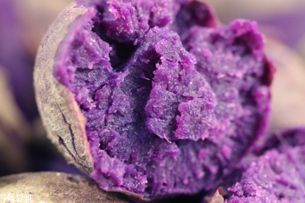 紫薯的食用禁忌(紫薯的食用禁忌)