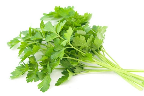 怎么挑选香菜(怎么挑选香菜)