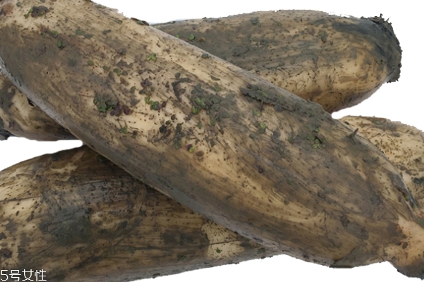 莲藕该如何挑选(莲藕怎么挑选)