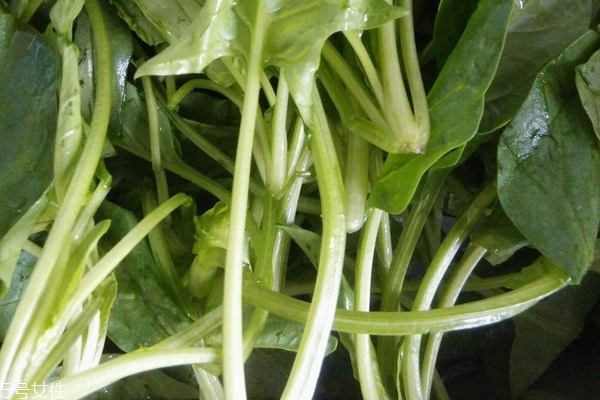 菠菜炒鸡蛋的做法(菠菜炒鸡蛋的做法窍门)