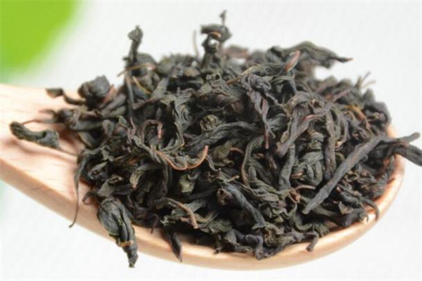 辣木茶适宜人群(辣木茶适合什么人群)