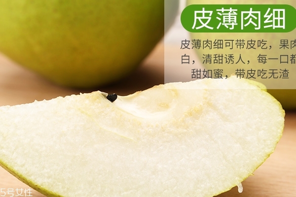 香梨小知识(什么样的香梨)