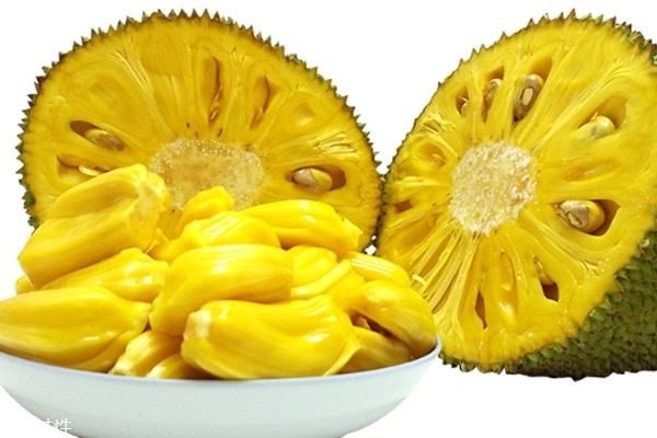 菠萝蜜的食用价值(菠萝蜜的食用价值)