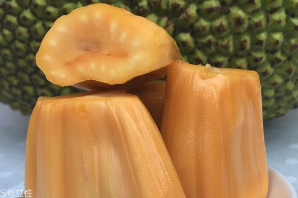 糯米酿菠萝蜜的做法(菠萝蜜糯米饭的做法)