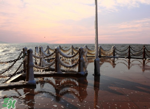 三九天的由来(三九天的来历)