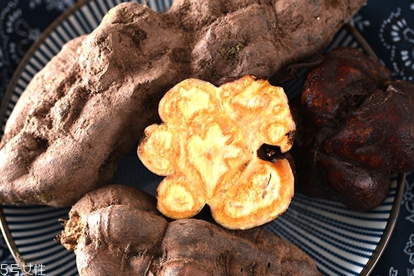 何首乌小知识(何首乌是什么?)