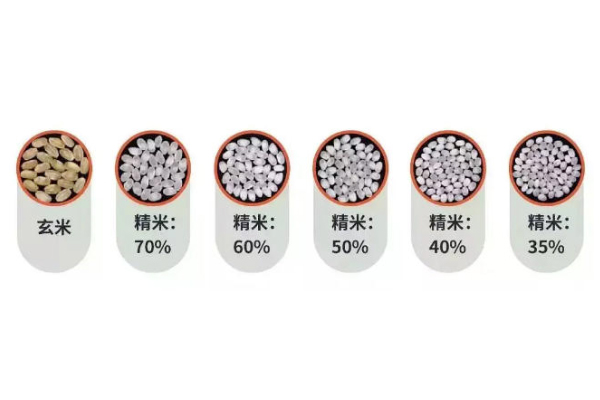 日本清酒什么味道(日本清酒什么味道)