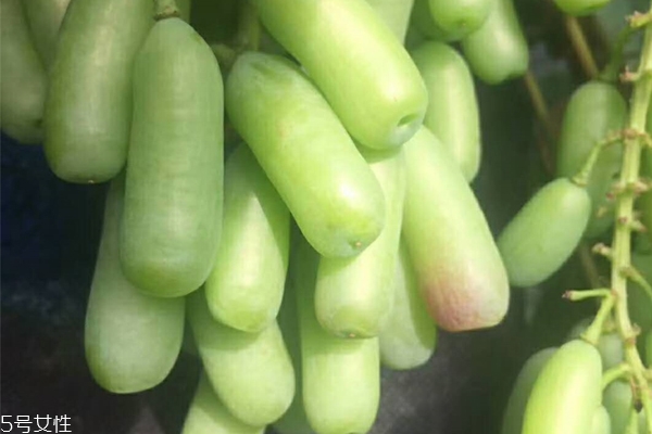 睡前喝红酒影响睡眠吗(睡前喝红酒影响睡眠吗?)