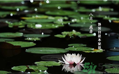 处暑养生食谱(处暑养生食谱)