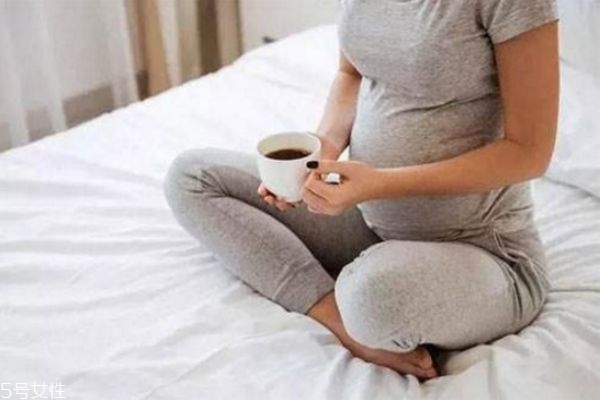 丁香茶什么牌子好(丁香茶什么牌子好)