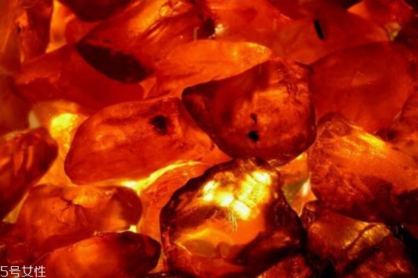 收藏家必备琥珀香水(香水 琥珀)