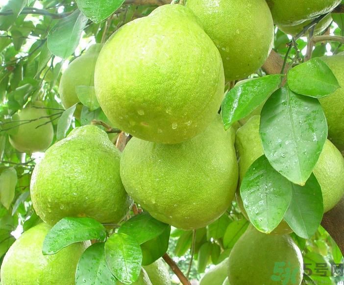 玫红色口红试色(玫红色口红试色)