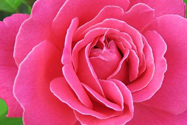 运动的种类有哪些(汽车运动的种类有哪些) 运动的种类有哪些(汽车运动的种类有哪些)