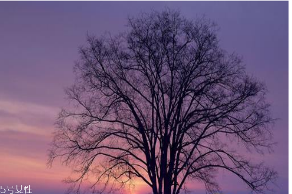 立冬养生小知识(立冬养生小知识) 立冬养生小知识(立冬养生小知识)