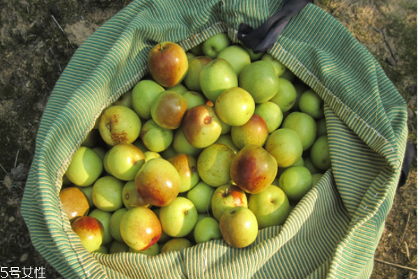 冬枣为什么叫冬枣(冬枣为什么叫冬枣?)